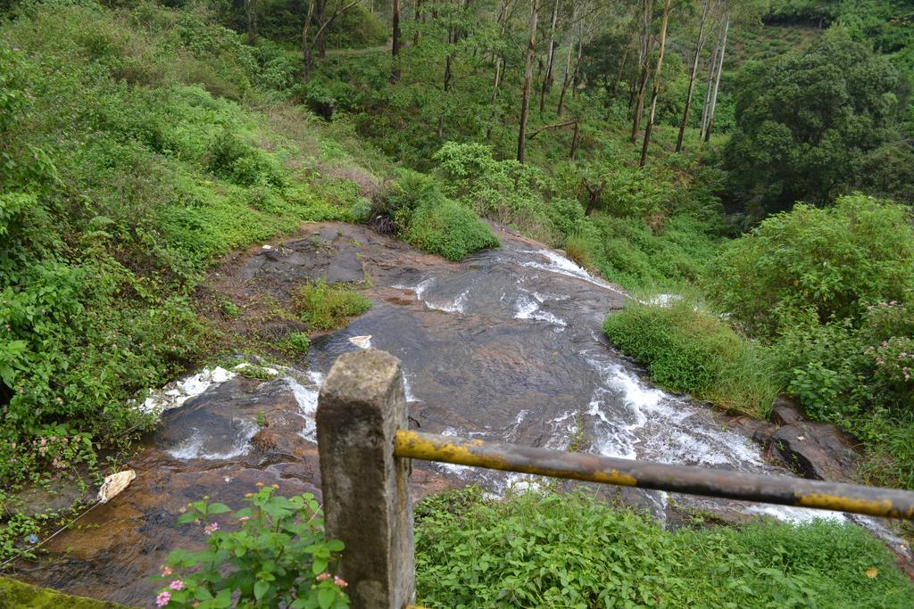 Ferndale Homestay Теккади Экстерьер фото